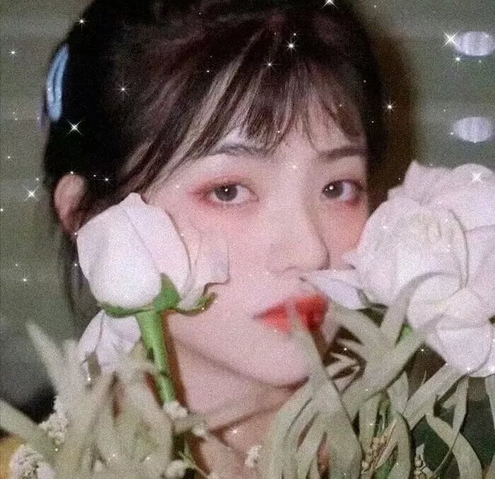 花木兰的秘密